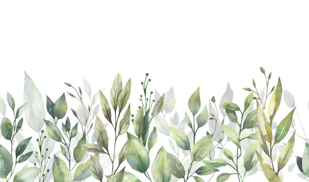 Watercolor floral illustration set - green leaf branches collection, for wedding stationary, greetings, wallpapers, fashion, background. Eucalyptus, olive, green leaves, etc. High quality illustration
