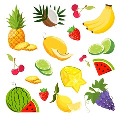 Vector illustration of a set of summer fruits. Bananas, watermelon, strawberries, grapes and other berries in composition.