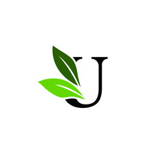 Letter U Logo with Green Leaves, Nature Logo/Icon Design Template.