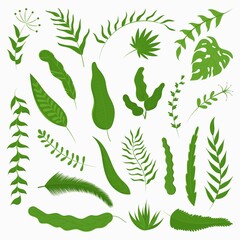 Vector set of tropical leaves. Modern illustration of various botanical elements.