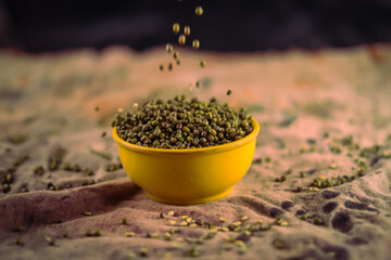 green raw moong or mung bean in yellow bowl ,l,moong bean and selective focus on mung seeds