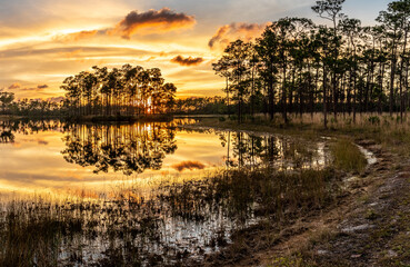 Obraz premium Trees on an island and clouds reflecting in the lake at sunset, Long Pine Key Lake, Everglades National Park, Florida