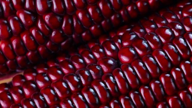 close up fresh purple corn
