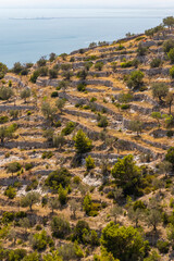 Landscape near Monte Sant Angelo, Apulia region, Italy