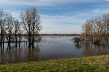 Fototapeta na wymiar Rheinhochwasser 2021