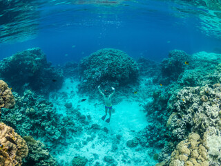 Naklejka na ściany i meble Young man dive at coral reef in tropical sea