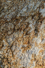 Rock sand background texture for graphic designer, natural light and normal contrast