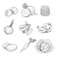 Hand drawn sketch style vegetables set. Garlic, beet, corn, onion, cucumber, tomato, potato, carrot and cabbage. Eco farm fresh products. Vector illustrations.