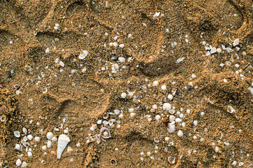 Sand beach and waves during sunset time for background and texture wallpaper