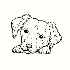 Cute dog, sitting, face on paws. Ink black and white drawing. Vector illustration