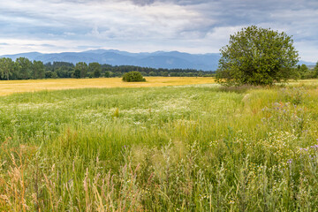Fototapeta premium Nizke Tatry (Low Tatras), Slovakia