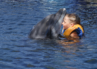 little girl and dolphin in the pool