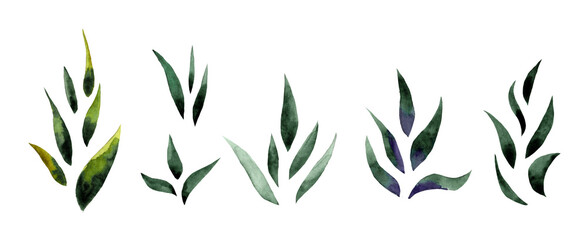 Watercolor illustration of green leaves, branches and yellow flowers. Spring.