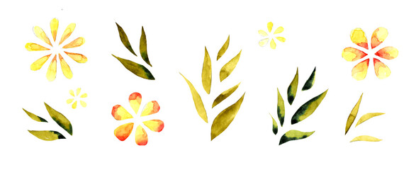 Watercolor illustration of green leaves, branches and yellow flowers. Spring.