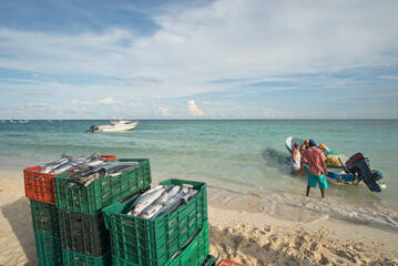 Crates full of fish by the sea, fishermen with their boat in the background. Caribbean Island, Mexico