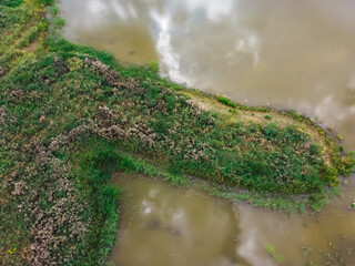 phallus-shaped island  drone view 