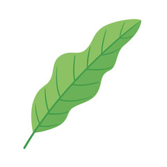 leaf plant ecology nature icon vector illustration design