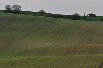 Spring fields in Kyjov region of Moravia, Czech Republic