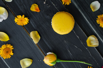 Colored macarons on a dark background with plant leaves and flowers