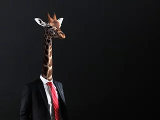 Tuinposter Businessman with head of Giraffe © semisatch