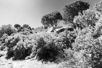 Elba, eine Insel im Mittelmeer
