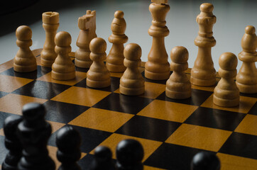 chess pieces on the board