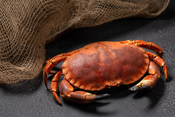 Crabe cuit en gros plan sur le fond noir