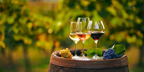 Three glasses with white, rose and red wine on a wooden barrel in the vineyard. Wide photo - 409905771