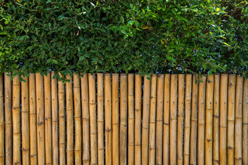 Bamboo fence and green leaf for home decoration
