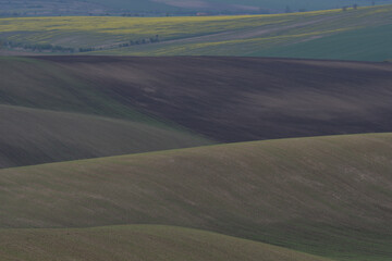 Fototapeta na wymiar Spring fields in Kyjov region of Moravia, Czech Republic