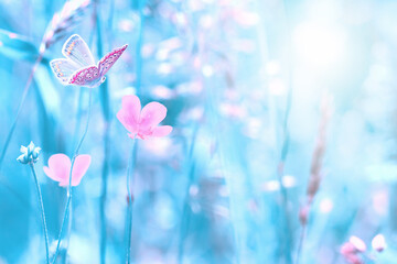 Beautiful wildflowers, butterfly in the dreamy meadow. Delicate pink and blue colors pastel toned. Shallow depth macro background. Nature floral springtime - 409906505