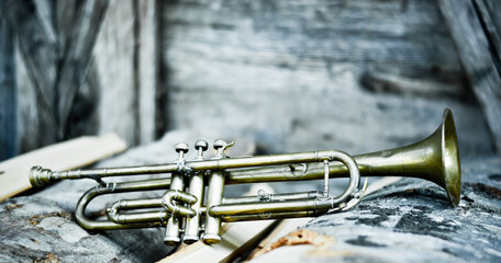 a jazz trumpet on a pile of wood