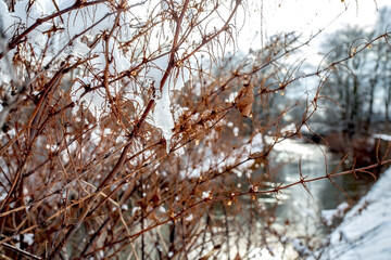 Winterimpressionen