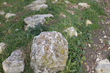 Ruins of an ancient Greek city by the sea. Chersonesos. The ancient city. Black Sea.
