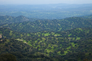 Bosque Mediterráneo, Parque Natural Sierra de Andújar, Jaen, Andalucía, España