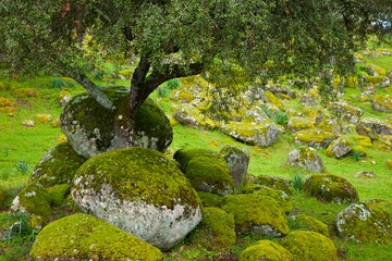 Parque Natural Sierra de Andújar, Jaen, Andalucía, España
