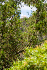 le Cerro de Monserrate à travers la nature, Bogota, Colombie