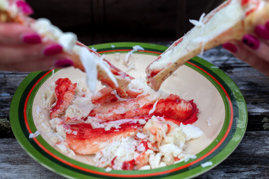 Rustikales Schlemmen von gekochter K&ouml;nigskrabbe