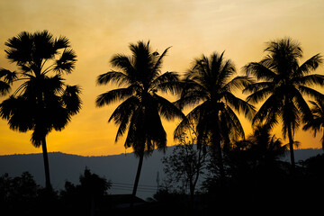 Beautiful sunset tropical beach with palm tree and golden sky and the smoky soot produced by farmers' weed burning. All of these things cause toxic pollution.