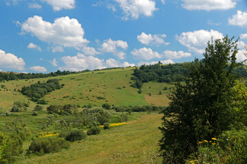 Fototapeta premium Landscape of Krywe - former and abandoned village in Bieszczady Mountains, Poland 