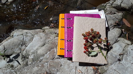 Three notebooks, colored on a gray rock near a mountain stream. Sunny day. Notes, education.
