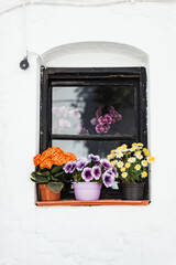 pots with brightly coloured flowers in the window of a house in Spain