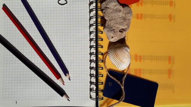 The pages of the diary of yellow and white flowers, sea shells, pebbles and a paper butterfly. Emotions, summer, vacation.