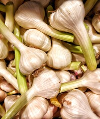 garlic and onion