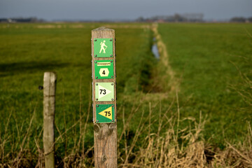 Hiking trail and cycle path signpost with yellow symbols and arrows on a green background in the Netherlands