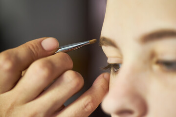 Obraz premium Close-up image of make-up artist filling eyebrows of young woman with brown powder