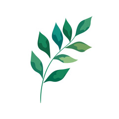 branch with leafs plant foliage icon vector illustration design