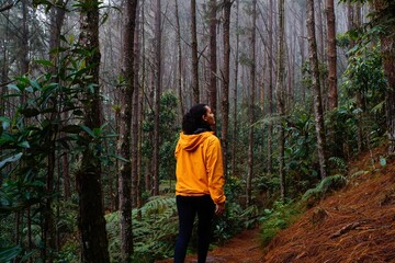 Young woman in yellow jacket walking through the forest and looking at the trees