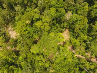 DCIM\100MEDIA\DJI_0108.JPG