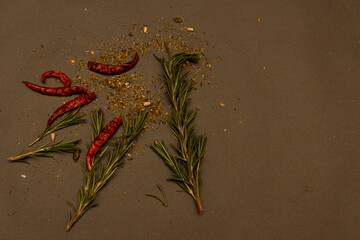 red chili pepper and spices with rosmarinus